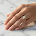 The Willow Solitaire | Oval Lab-Grown Diamond Ring with Twisted Vine Band